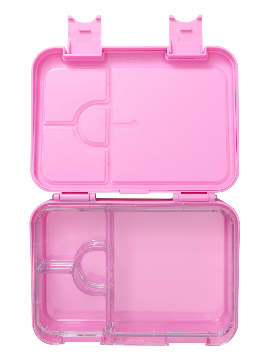 radiant medium bento lunchbox